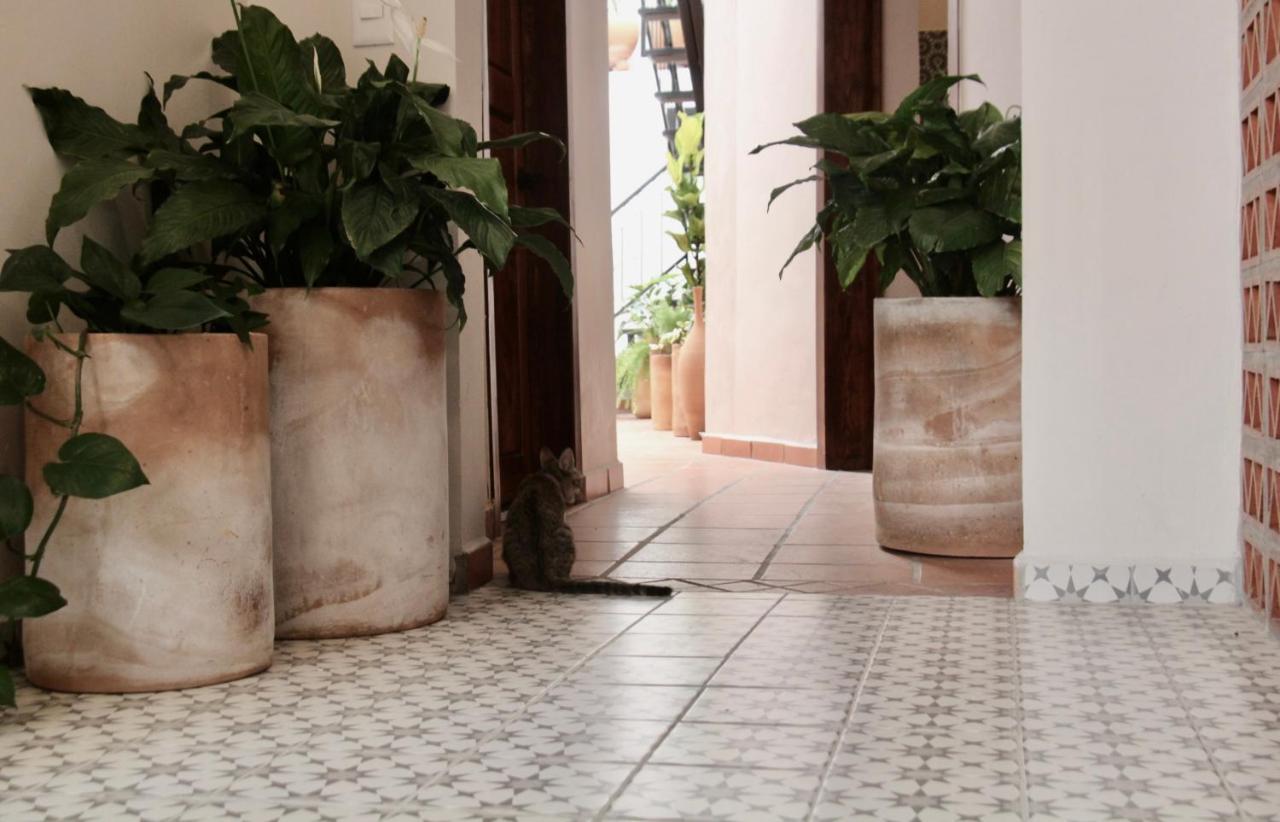 Casa Irake Otel Guadalajara Dış mekan fotoğraf